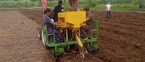 आंबेगाव तालुक्यात  बटाटा लागवड सुरू  In Ambegaon taluka Start planting potatoes