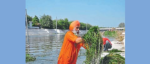 संत बलबीर सिंह