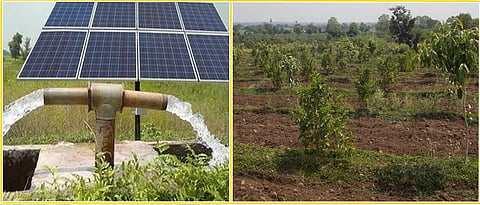 structure of sustainable development