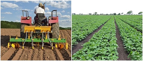बीबीएफ यंत्राद्वारे पेरणी व सोयाबीन पिकात झालेला वापर. 