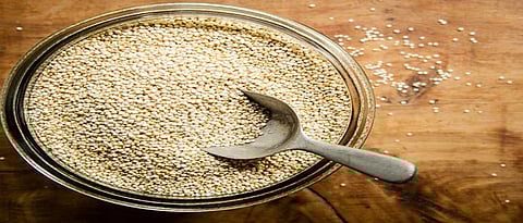 Quinoa 