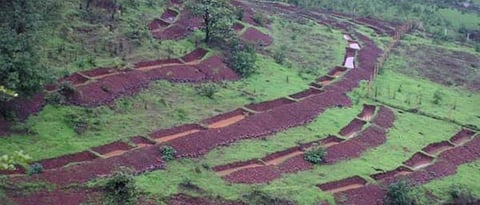 माथा ते पायथा जलसंधारणाची कामे करावीत.