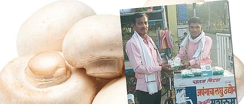 दिव्यांग विठ्ठल मशरूम व्यवसायातून आत्मनिर्भर 