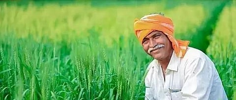 Crop Insurance