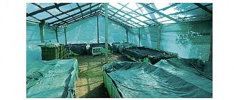 नारळ झावळ्यापासून खत करण्यासाठी टाकी करावी. टाकीला शेडनेटची सावली करावी.