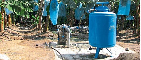 योग्य प्रकारे करा विद्राव्य खतांचा वापर