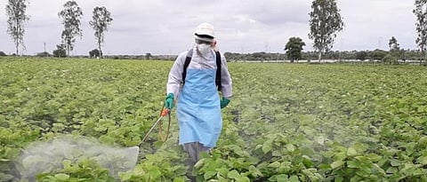 Crop Management