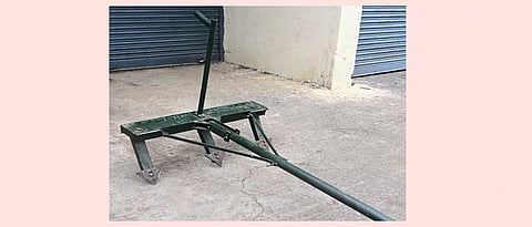 तीन फणी मोगडा 