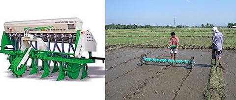 in muddy flat land Paddy sowing by drum seeder is easy