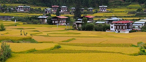 आख्खा देशच सेंद्रिय!