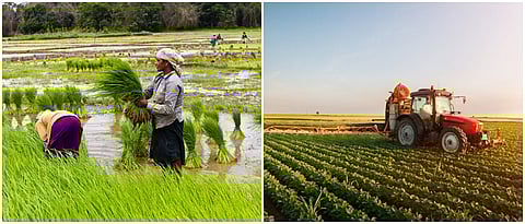 महाराष्ट्रा राज्य कृषी क्षेत्रात प्रगतीपथावर आहे.