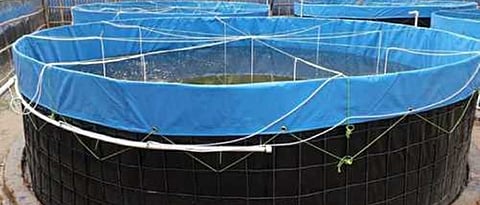 बायोफ्लाक कल्चरनिर्मिती टाकी