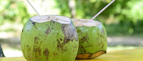 आरोग्यवर्धक नारळपाणी 