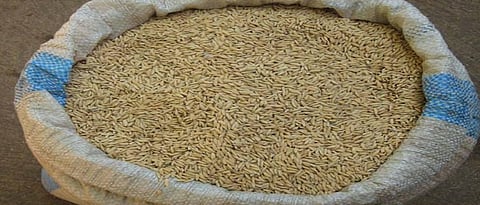 Free the farmers from the oppressive conditions of paddy purchase