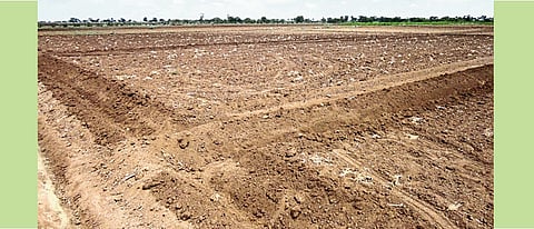  शेतजमिनीत जलसंधारणासाठी बांध बंदिस्ती करावी.