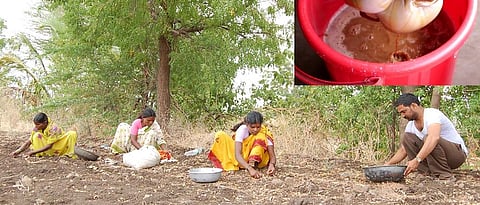  निंबोळी अर्काची निर्मिती, वापर