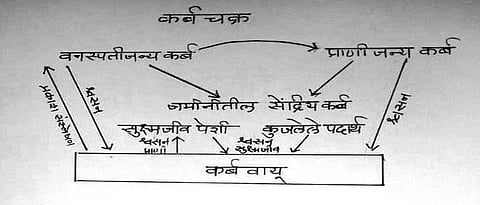 सूक्ष्मजीवांचे पीक पोषक, रसायनांवरील परिणाम