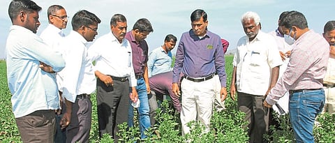 Farmers should brand their produce after processing: Chalavade