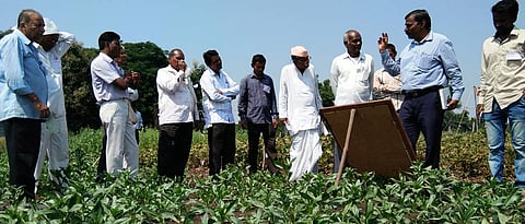 Training of farmers in research field