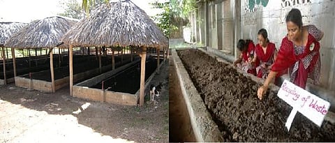 स्थानिक उपलब्ध घटकांच्या साह्याने गांडूळखत निर्मितीसाठी शेड तयार करावी. 