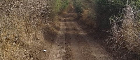 Panand roads delayed in six talukas of Akola despite funds 