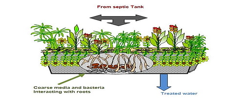 गरज सांडपाणी व्यवस्थापनाची...