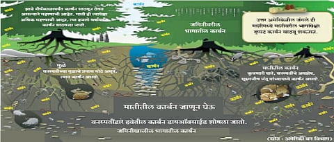 जागतिक तापमान वाढ रोखण्यात शेतकरी सहभाग महत्त्वाचा