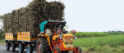 Sugarcane Transportation 