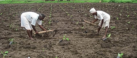 Karmaveer Dadasaheb Gaikwad Take advantage of the empowerment plan