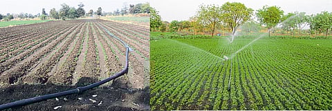 भुईमूग पिकाला पारंपारिकपणे पाटपाणी न देता तुषार सिंचन पद्धतीने पाणी दिल्यास चांगली वाढ होते.