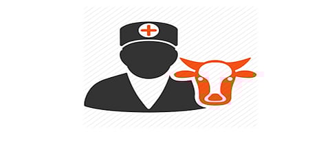 Veterinary Services