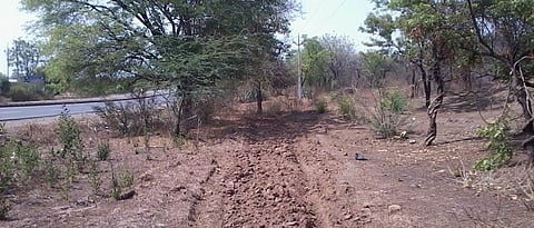 नाशिक जिल्हा वनहक्क दावे निपटाऱ्यात राज्यात अव्वल