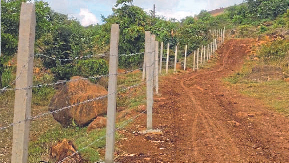 या योजनेतून मिळतेय शेतीला कुंपण घालण्यासाठी अनुदान The scheme provides