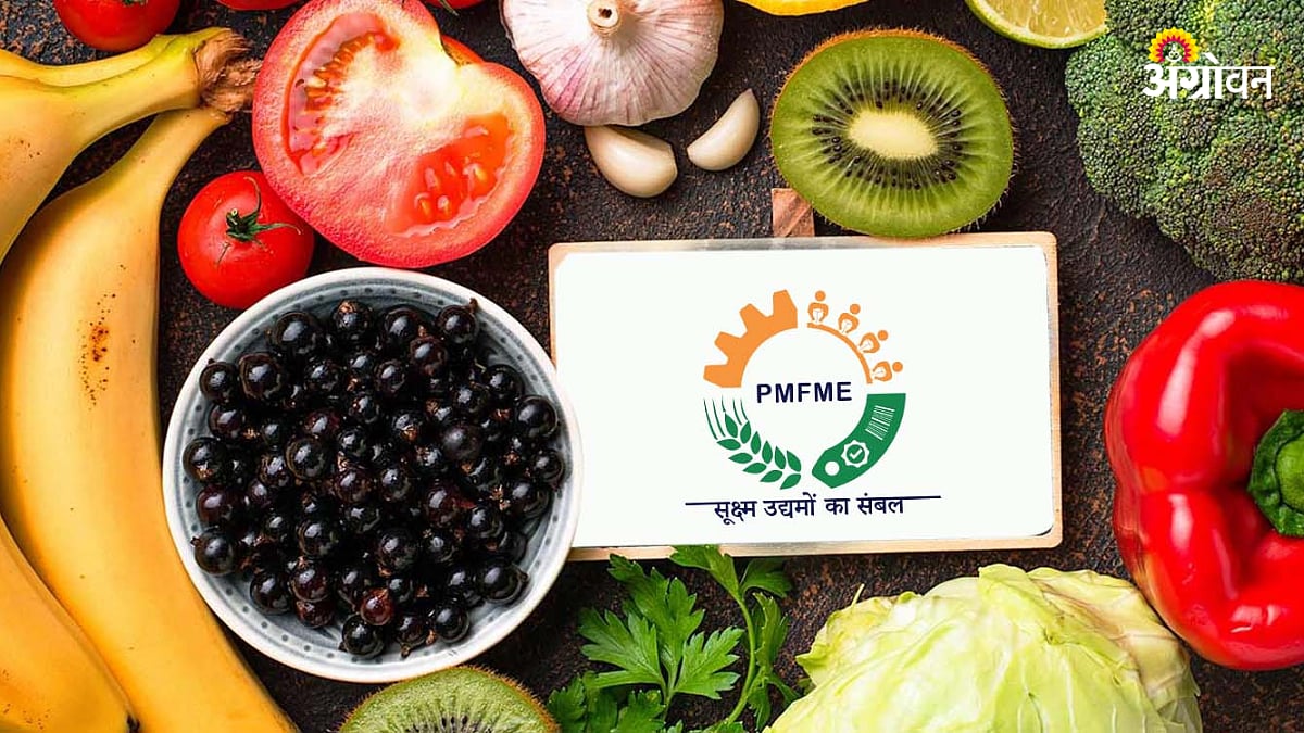 PFME Scheme | ‘पीएफएमई’ अंमलबजावणीत नागपूर विभाग अव्वल | Nagpur ...