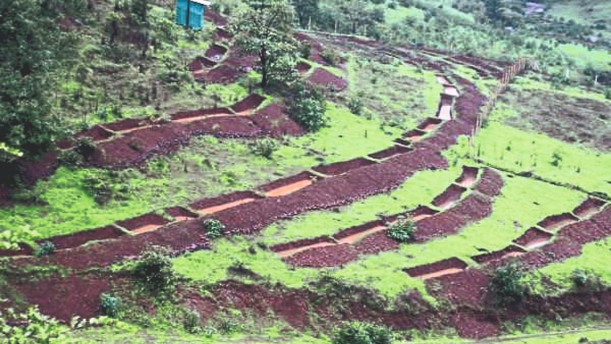Water Conservation Planning | मृद्‍, जलसंधारणाच्या कामांचे कसे करावे ...