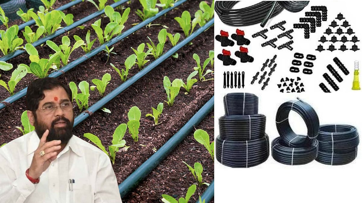 Drip Irrigation Scheme Maharashtra ठिंबक सिंचनासाठी मिळणार ८० टक्के
