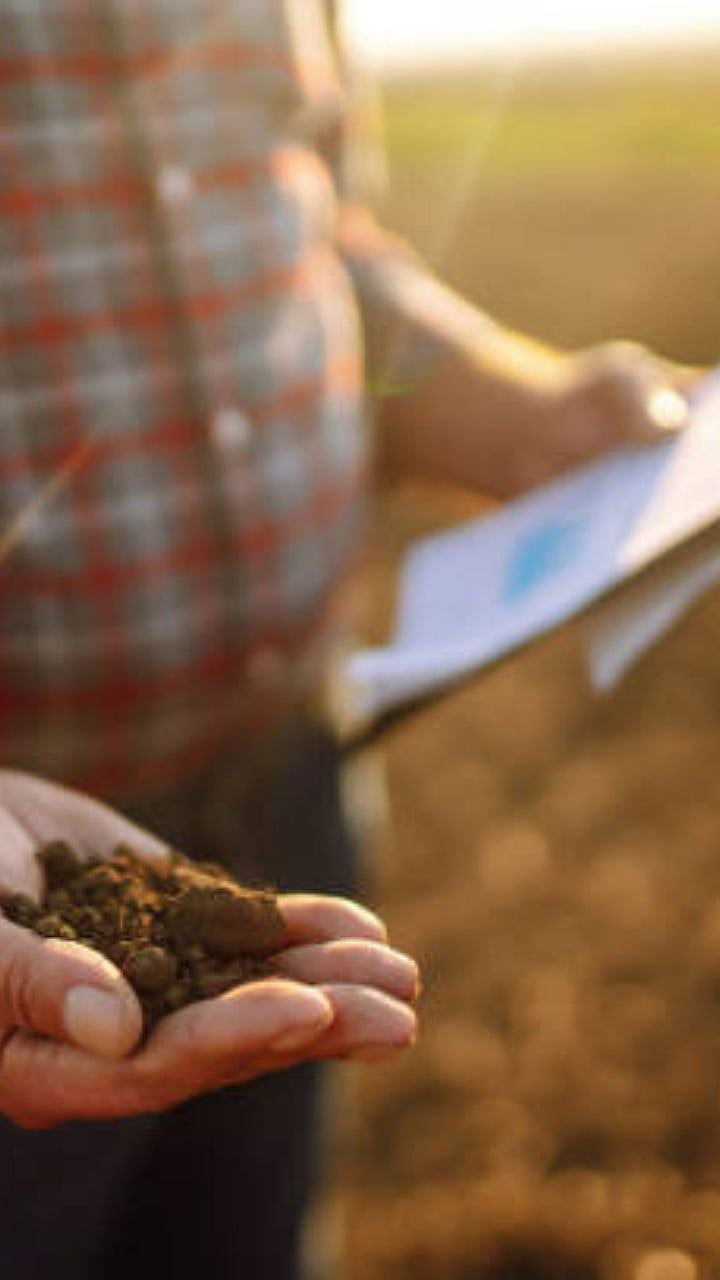 How to prepare a soil health pamphlet? ।Soil Health Card : शेतजमिनीची ...