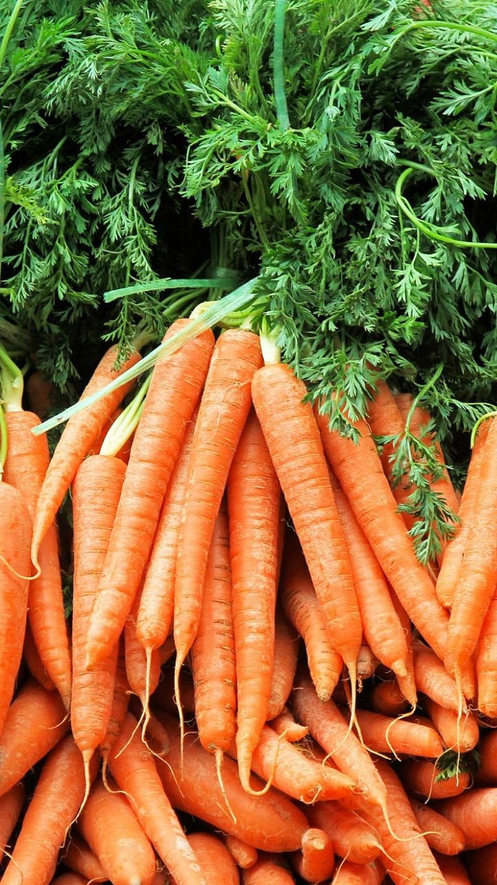 Benefit Carrot : हिवाळ्यात गाजर सूपर फूड, शरीरासाठी फायदेशीर|Benefits ...