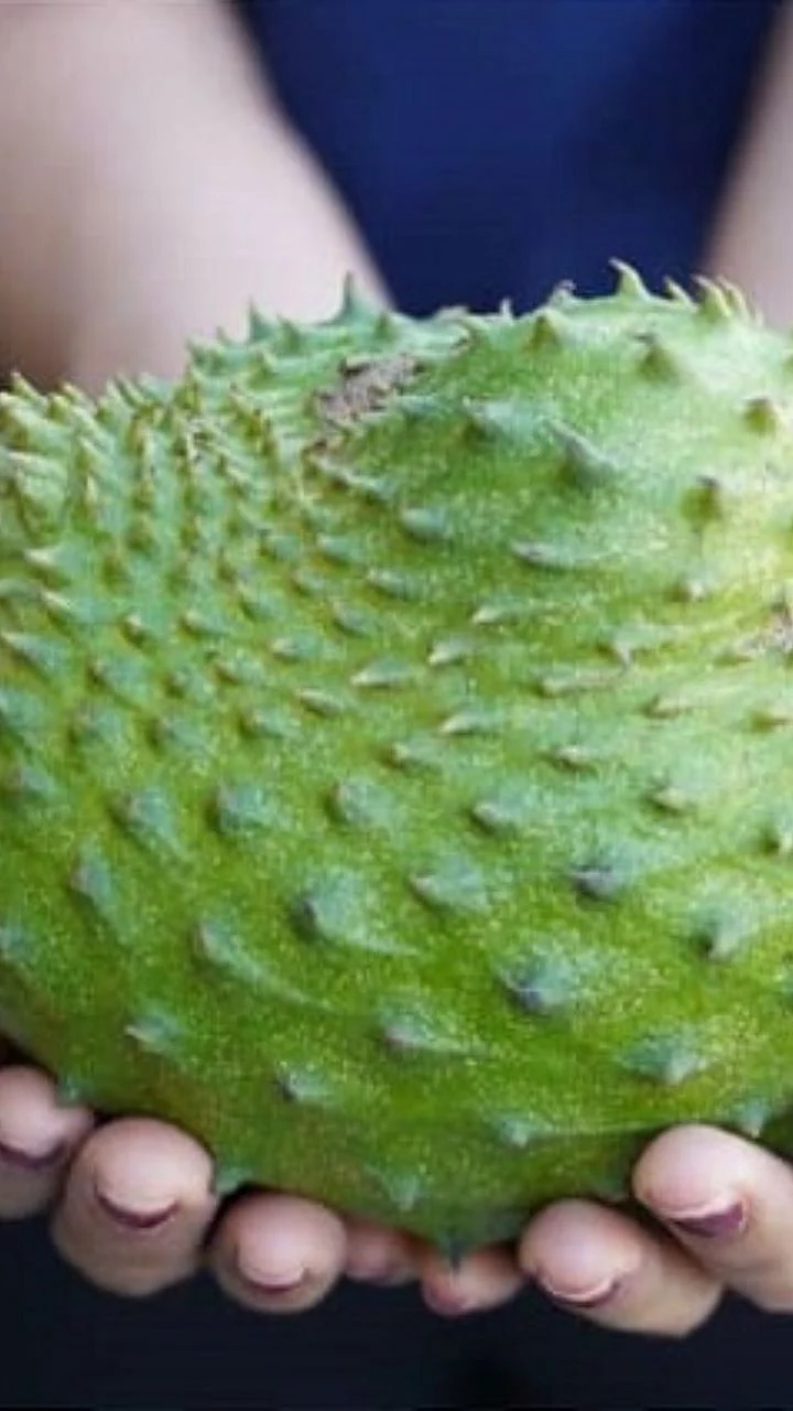 hanuman-fruit