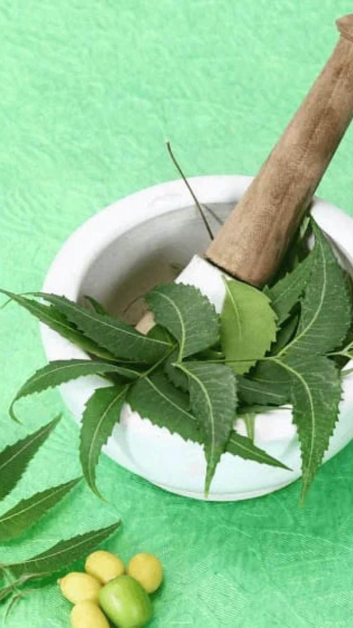 Neem Benefits | कडुलिंबाचं रस प्यायल्याने आरोग्य सुधारतं?| Does ...