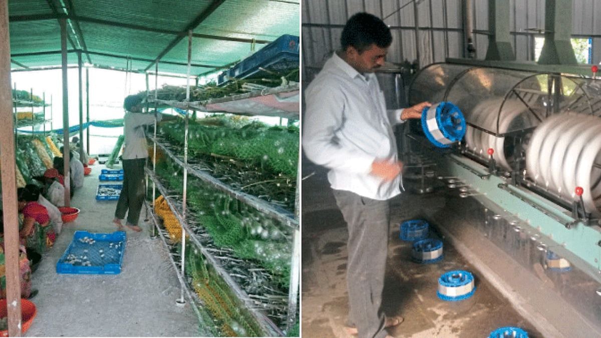Sericulture Farming Industry | रेशीम शेती उद्योगात अमर्याद संधी ...