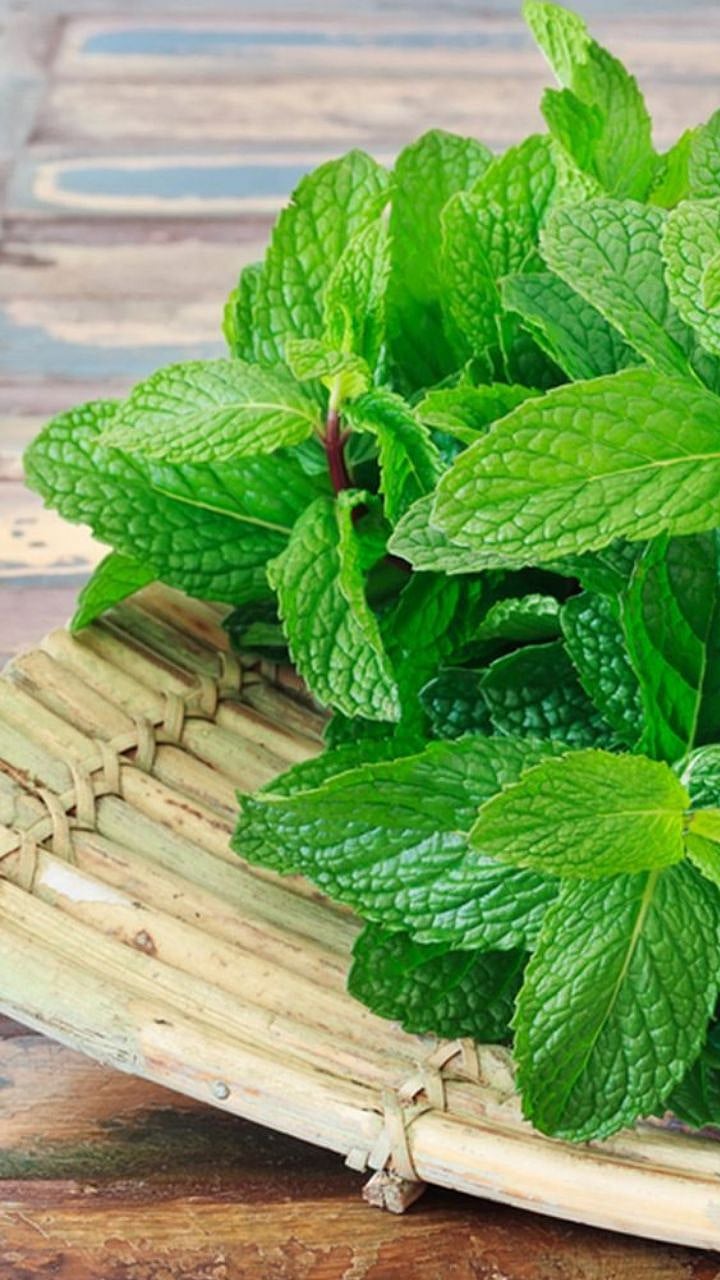 Migraine Natural Remedies