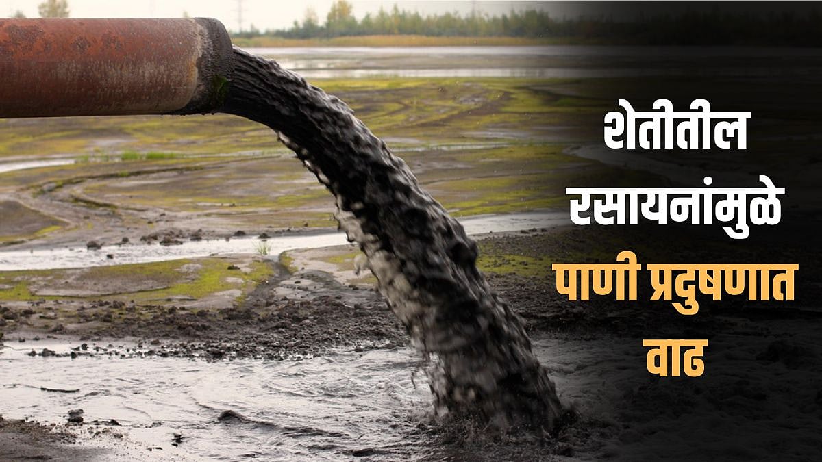 Water Pollution | शेतीतील रसायनांच्या वापराने पाणी प्रदूषणात वाढ ...