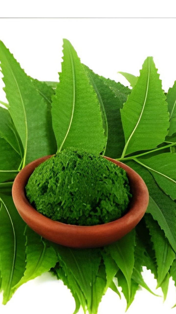 Neem Face Pack : चेहऱ्याला महागडे फेस पॅक कशाला कडुलींब देईल फायदे|skin ...