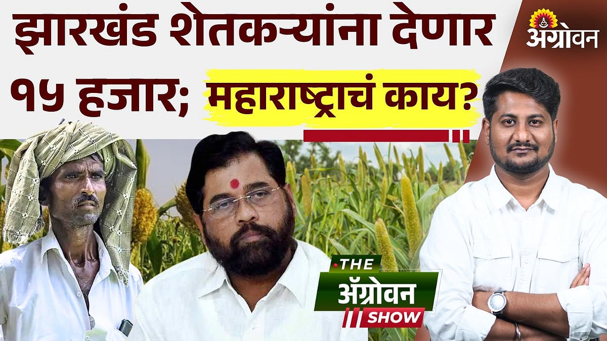 Jharkhand Farmer: झारखंडमध्ये भरडधान्य पीक प्रोत्साहन कार्यक्रम