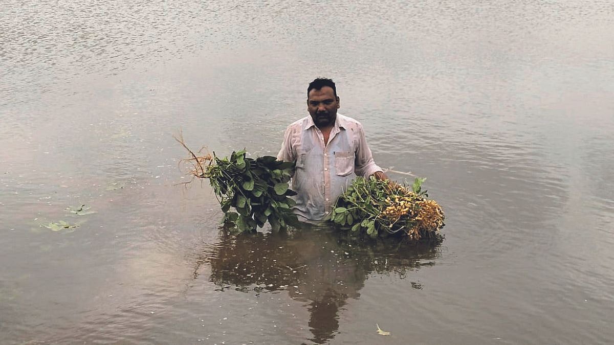 Kolhapur Flood । शिरोळ तालुक्यात पंधरा दिवसांपासून पूरस्थिती । Flood ...