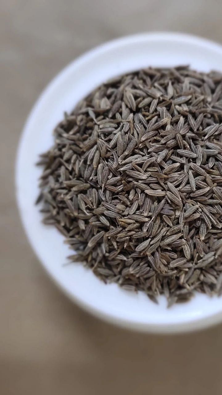 Fat Burner Hacks : चरबीचा सर्वात मोठी शत्रू कोण? 7 Fat Burner Hacks