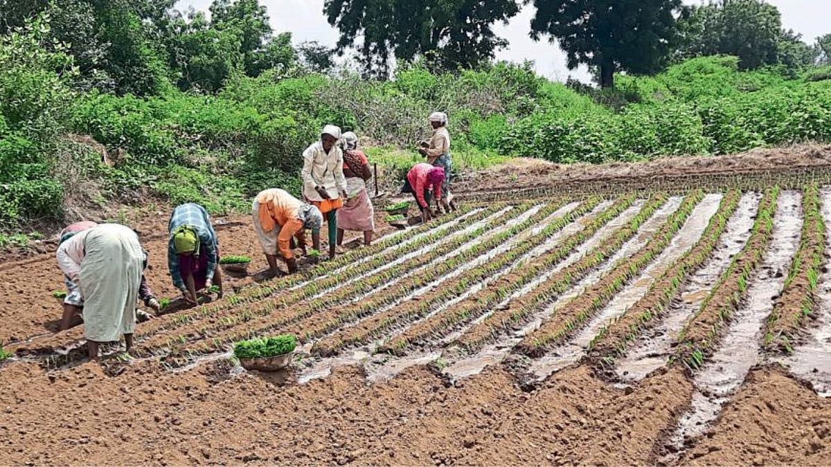 Rus porno onlayn oqituvchi Haqiqiy hayotda jinsiy aloqa onlayn