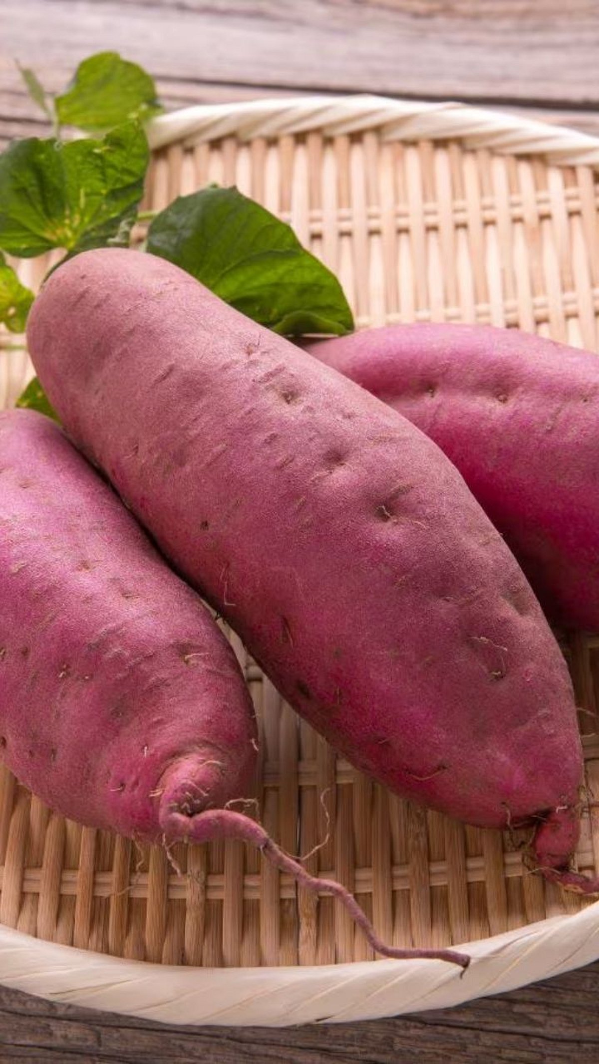Mosto Ratal Red Ratal : रताळ खाण्याचे ५ आरोग्यदायी फायदे|5 Health Benefits of ...
