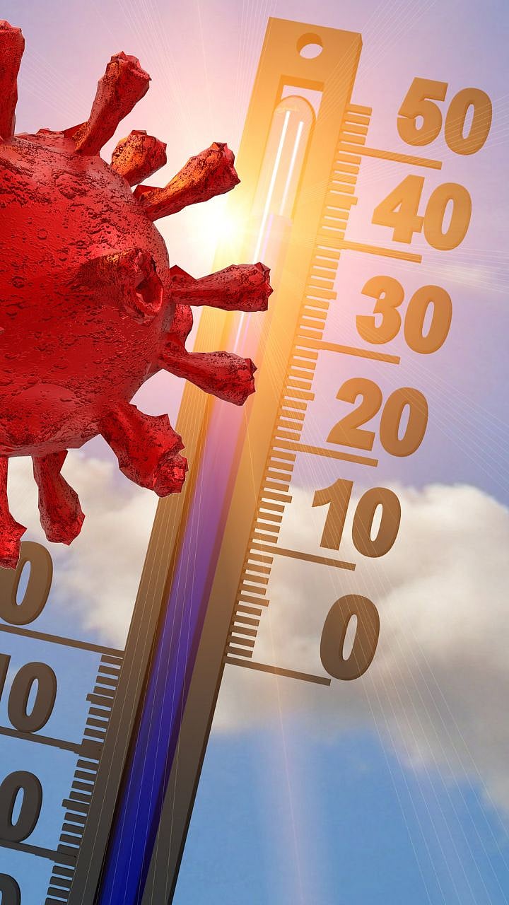 October Heat : ‘ऑक्टोबर हीट’चा पारा चढताचं|The mercury of 'October heat ...